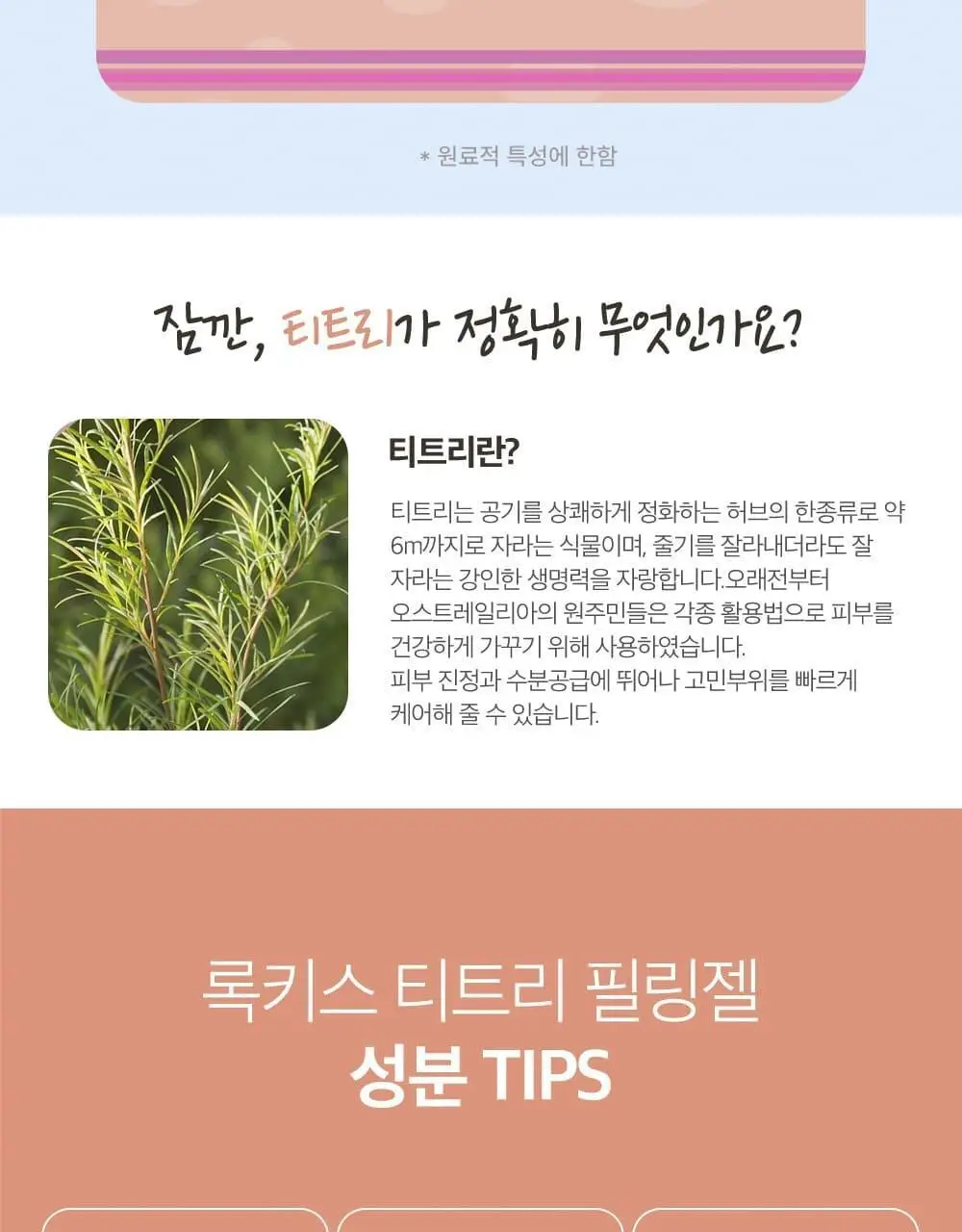[단독기획] 록키스 티트리 필링젤 (본품120ml+60ml추가 증정) 상세페이지 12